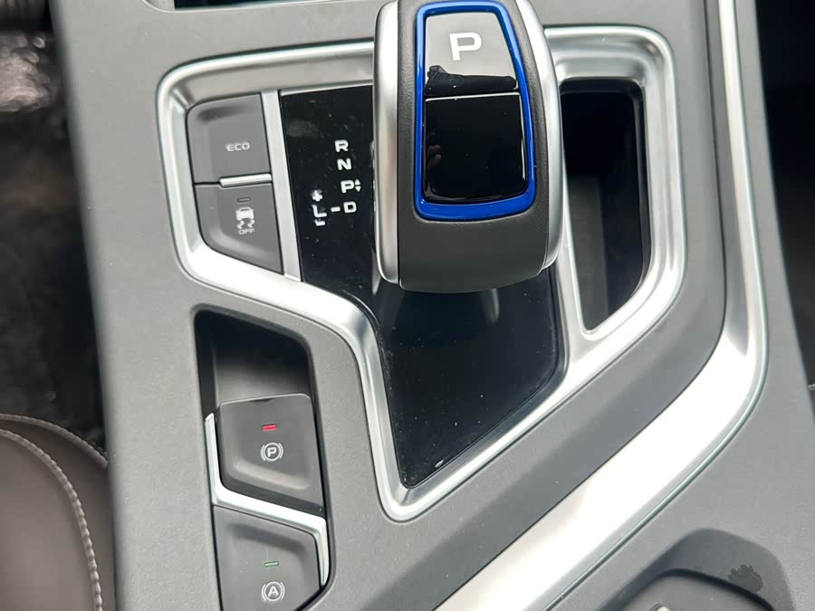 睿蓝汽车 枫叶80v 2023 汽车图片 #15