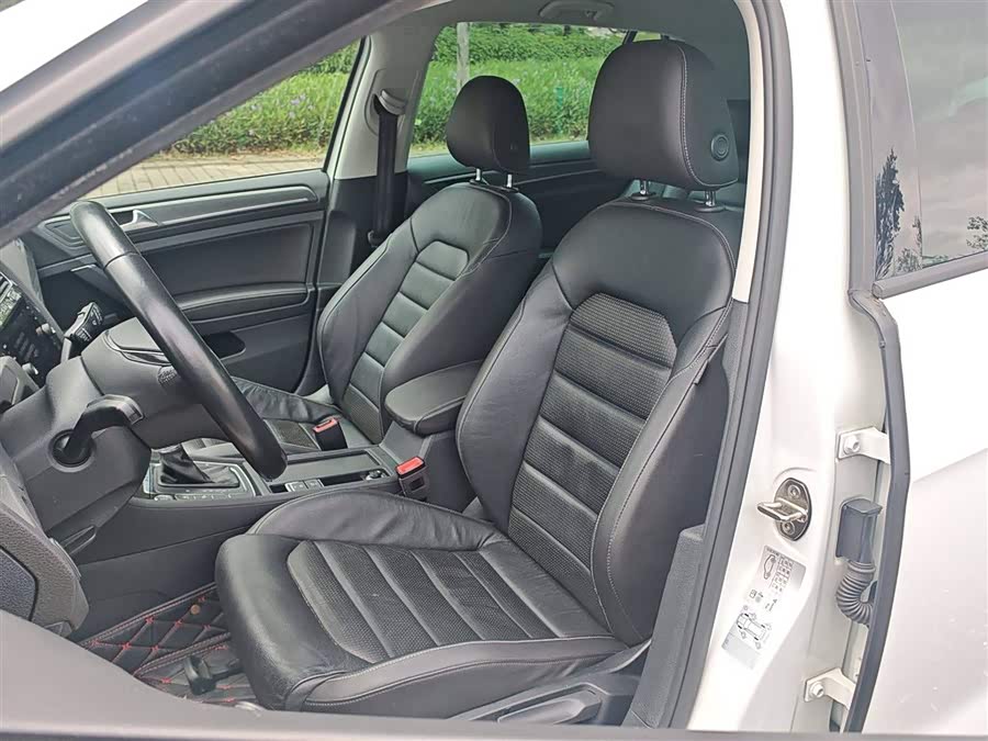 Volkswagen Golf New Energy (Imported) 2020 imagen de coche #15