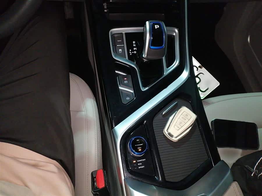 GEELY JiaJi New Energy 2021 #15 GEELY JiaJi New Energy 2021 immagine di auto #15