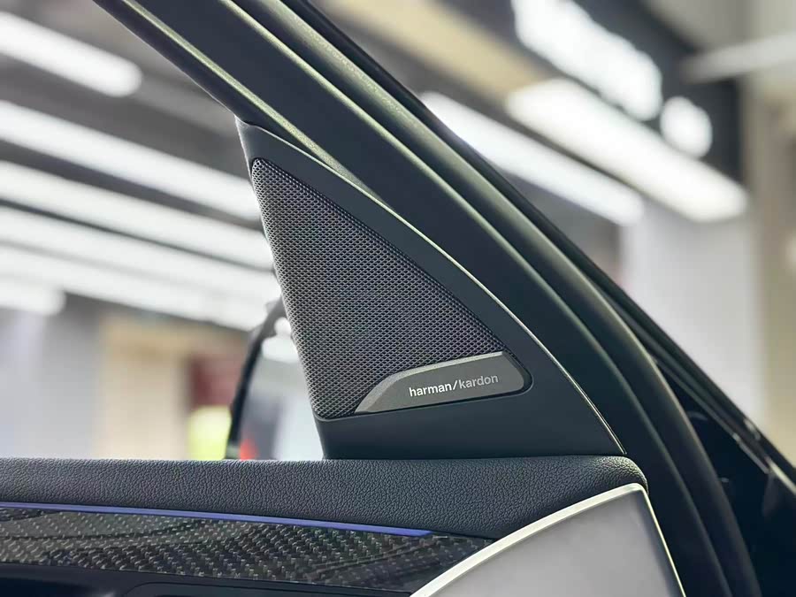 BMW X4 M 2020 immagine di auto #15