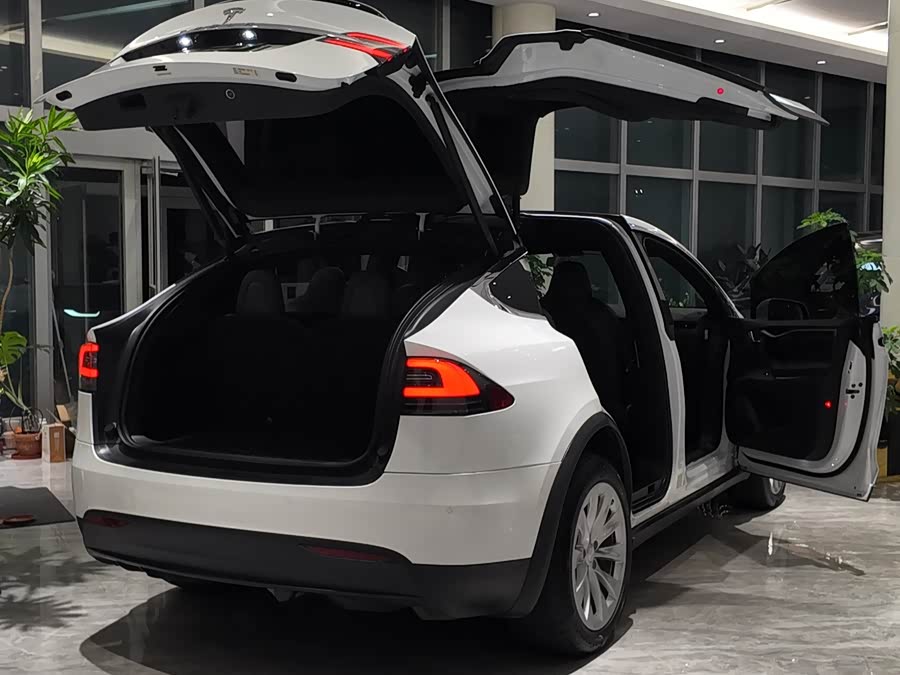 特斯拉 Model X 2020 汽车图片 #15