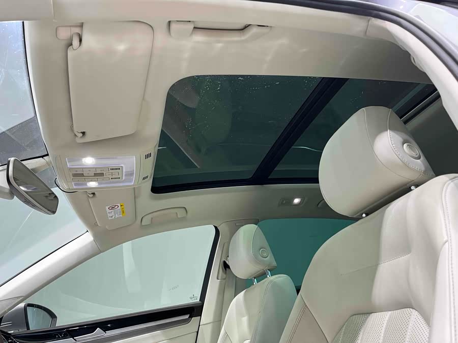 Volkswagen Phideon 2021 car image #15