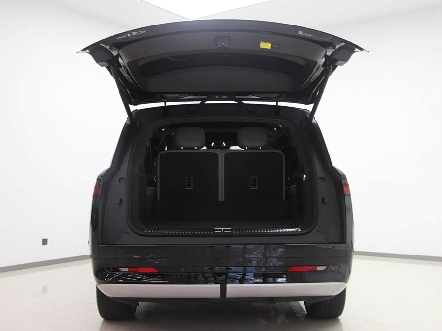 Denza N9 2025 car image #15