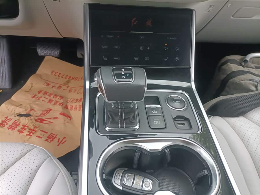 HongQi E-HS3 2019 car image #15