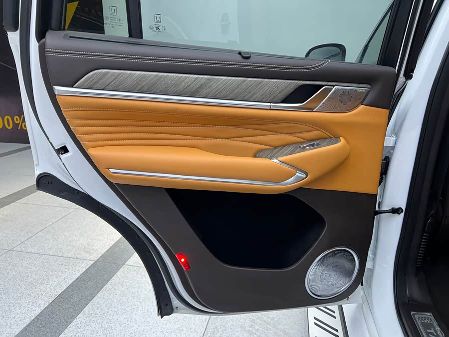 Tank 500 New Energy 2023 immagine di auto #15