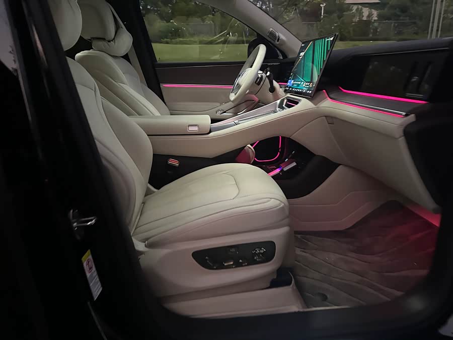 Denza N9 2025 #15 Denza N9 2025 car image #15