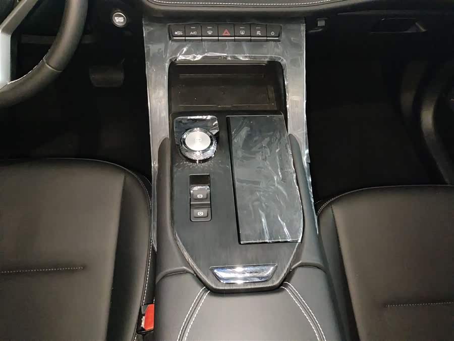 Haval H6 2025 immagine di auto #15