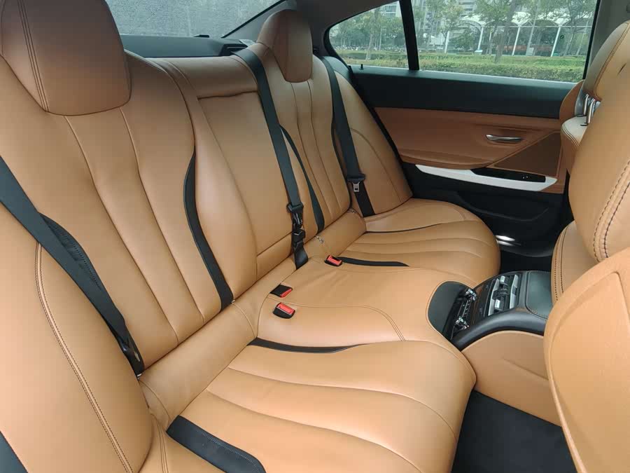 BMW 6 Series 2017 car image #15