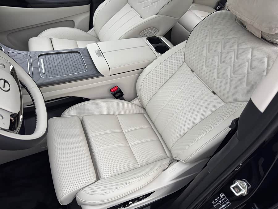 GAC Trumpchi Xiangwang M8 car image #15