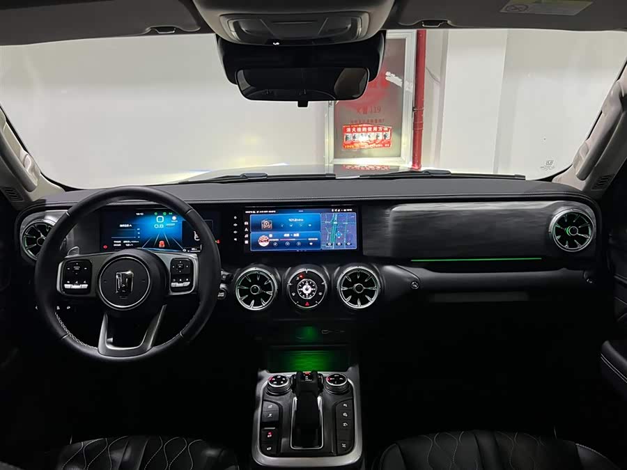 Tank 300 2021 car image #15