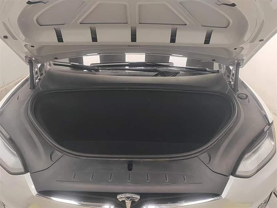 Tesla Model X 2019 car image #15