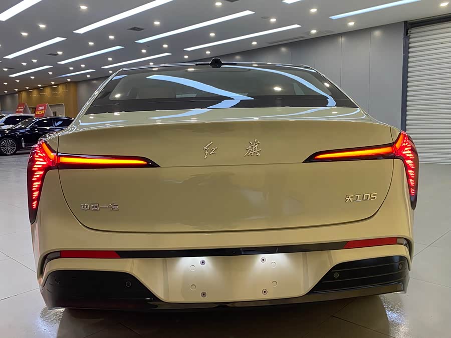 HongQi TianGong 05 car image #15