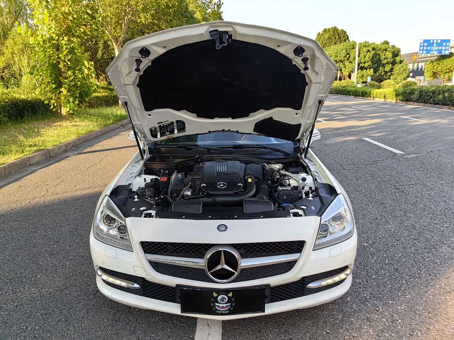 Mercedes-Benz SLK Class 2015 #15 Mercedes-Benz SLK Class 2015 immagine di auto #15