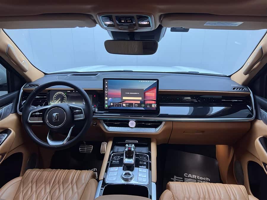 Tank 500 New Energy 2023 immagine di auto #15