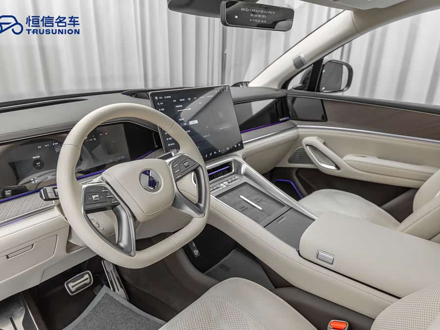 Denza N9 2025 car image #15