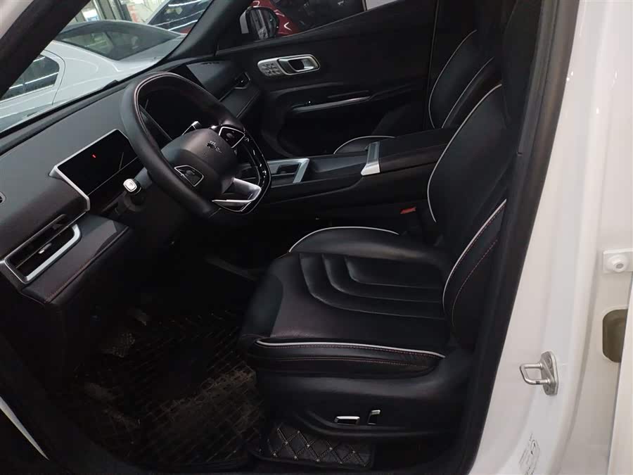 Neta X 2024 imagem de carro #15