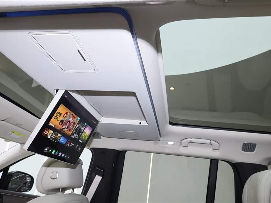 Denza N9 2025 car image #15