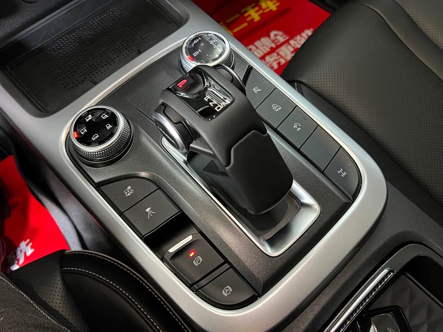 Tank 300 New Energy 2024 car image #15