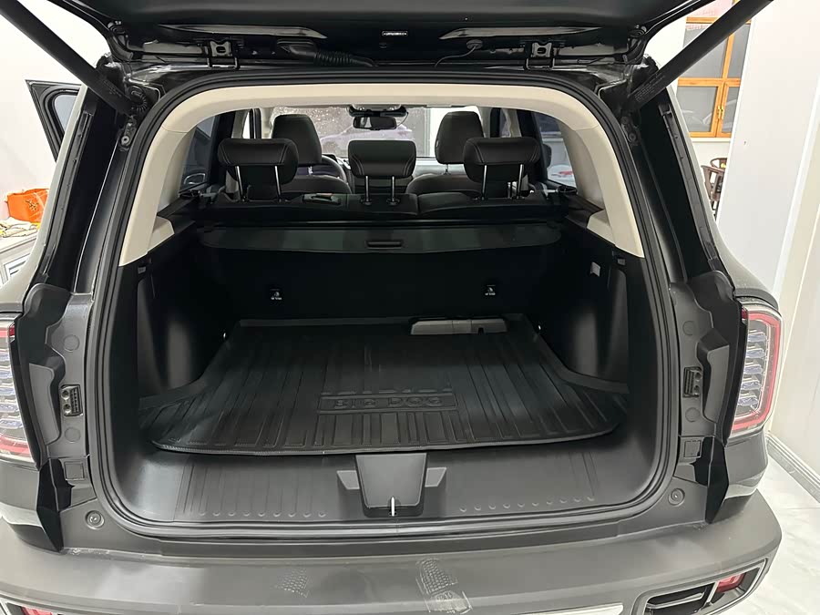 Haval X Dog / Dargo 2022 car image #15