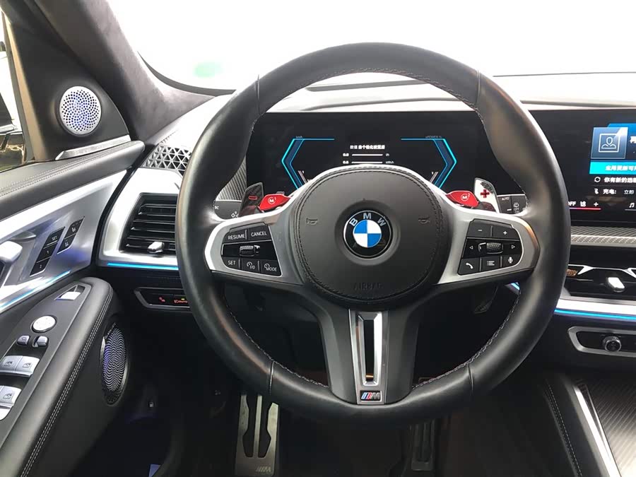 BMW XM imagem de carro #15
