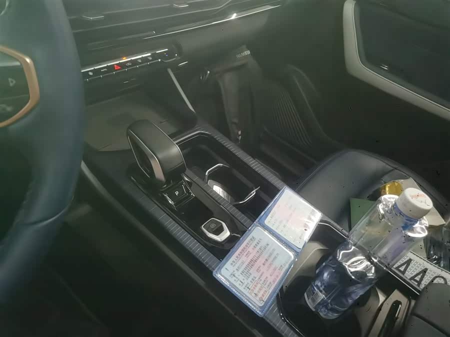 睿蓝汽车 睿蓝9 2024 汽车图片 #15