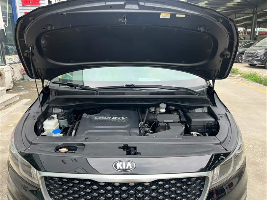 起亚 嘉华(进口) 2017 汽车图片 #15