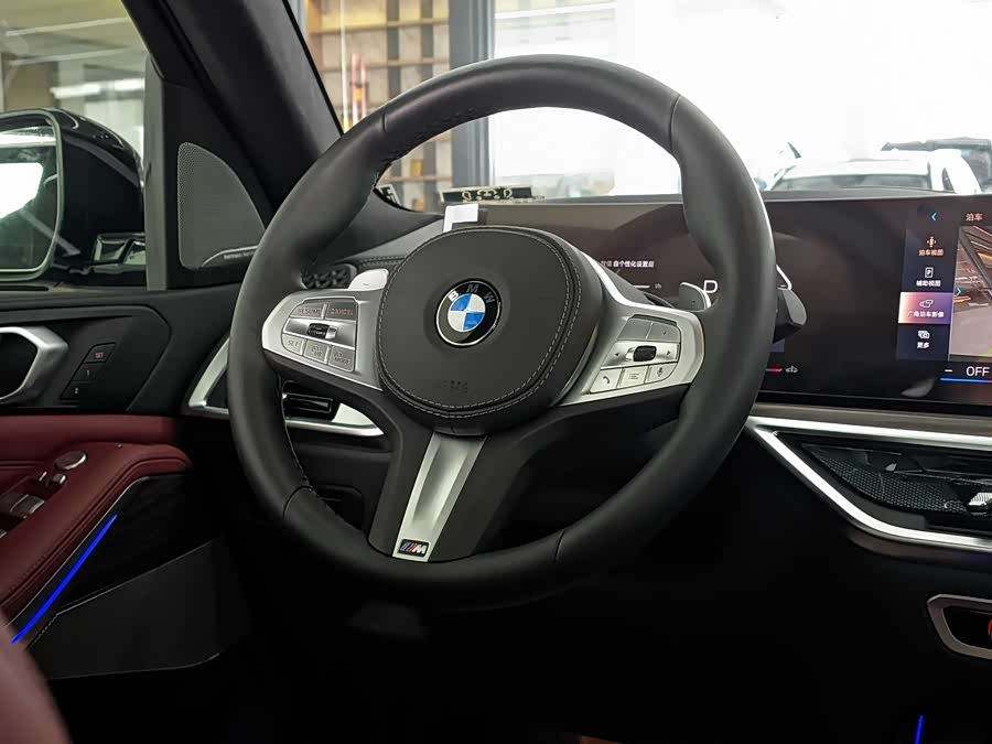 BMW X5 2025 imagen de coche #15