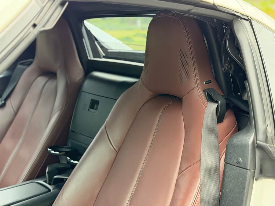 GEELY Monjaro MHEV 2019 car image #15