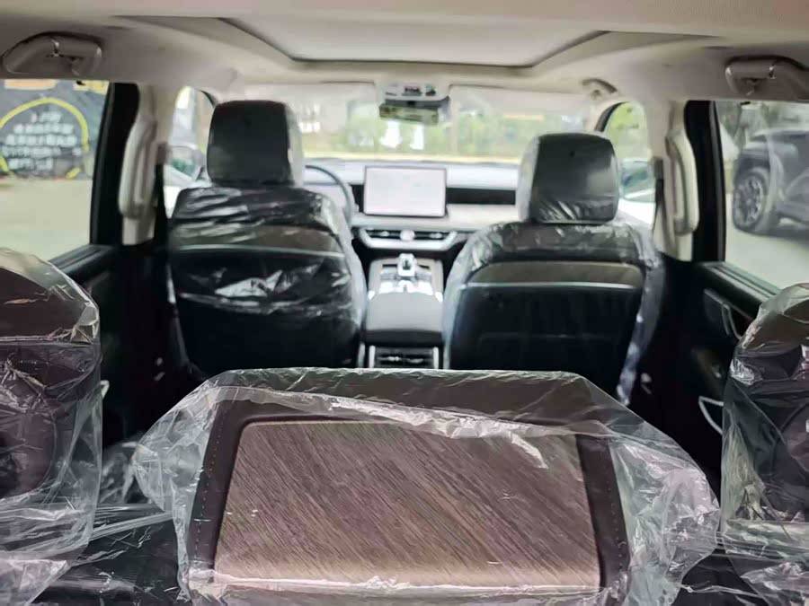 Tank 500 New Energy 2025 immagine di auto #15