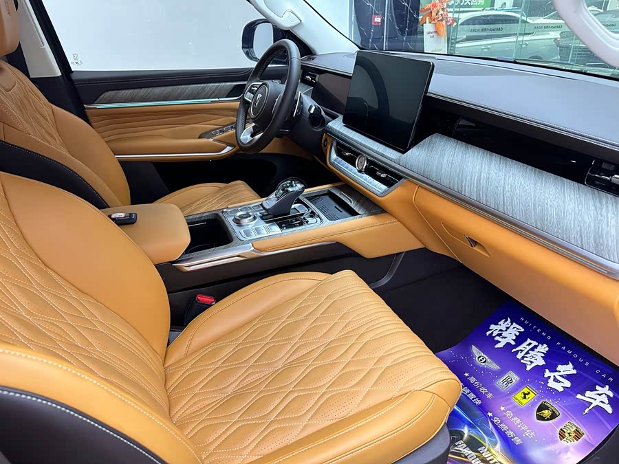 Tank 500 New Energy 2025 immagine di auto #15