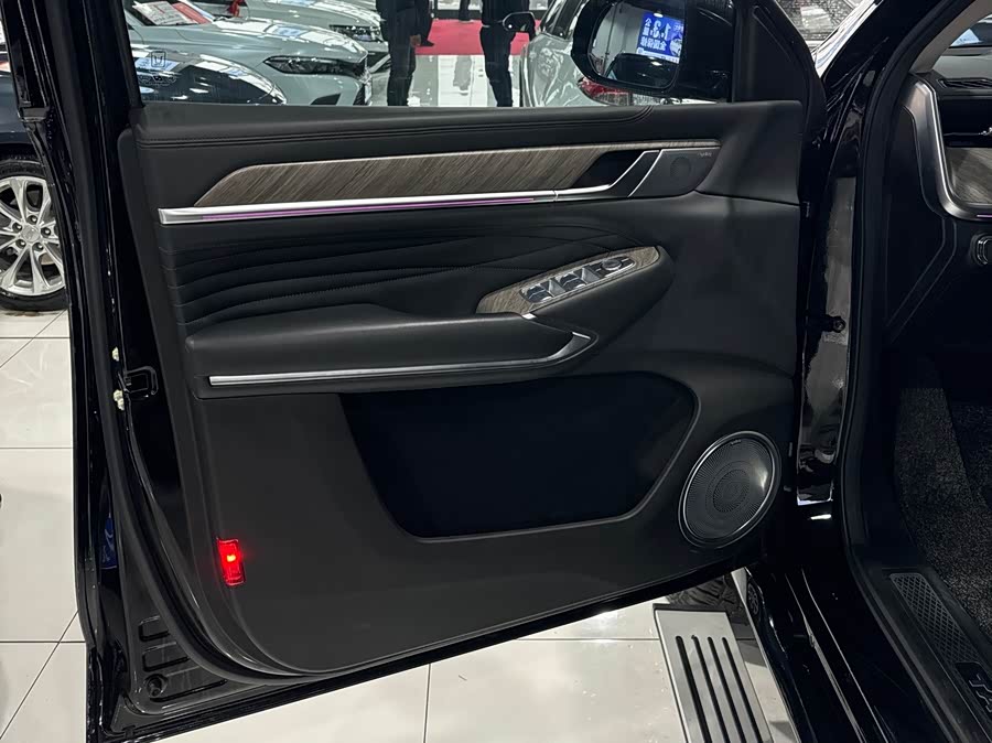 Tank 500 New Energy 2023 car image #15