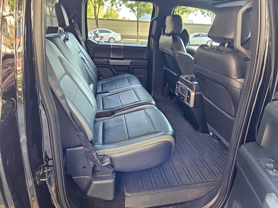 Ford F-150 Raptor 2018 car image #15