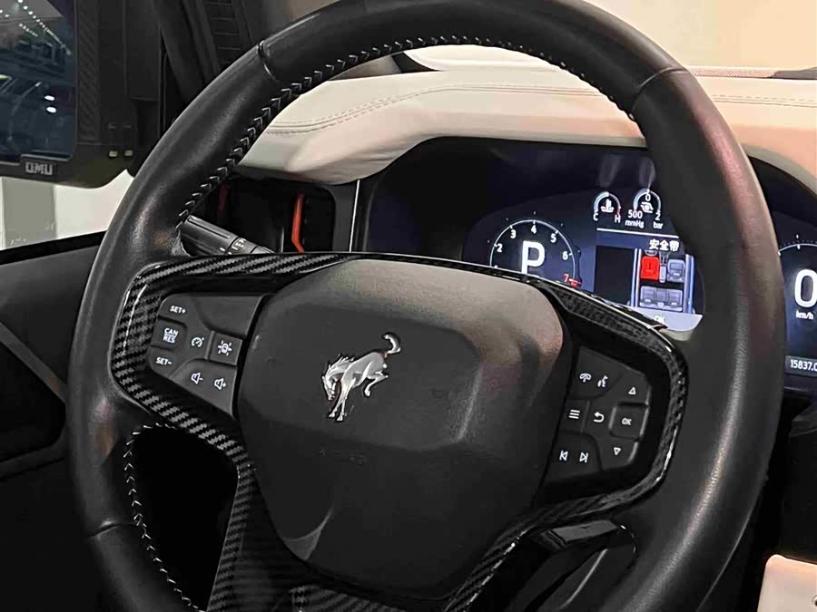 福特 福特烈马 2025 汽车图片 #15