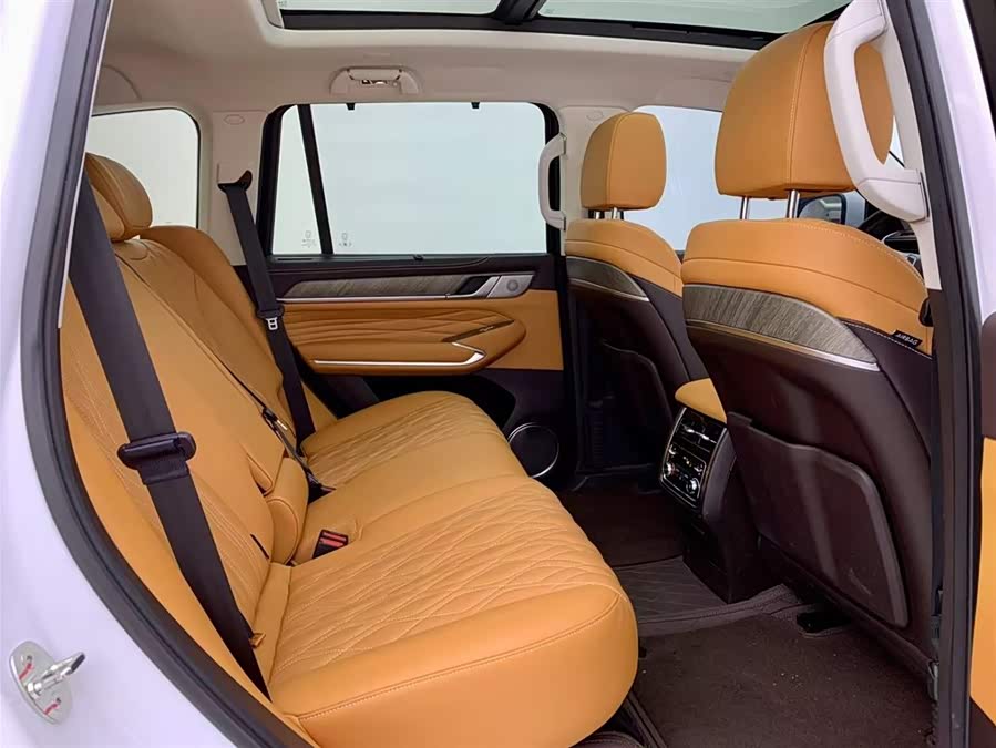 Tank 500 New Energy 2024 #15 Tank 500 New Energy 2024 car image #15