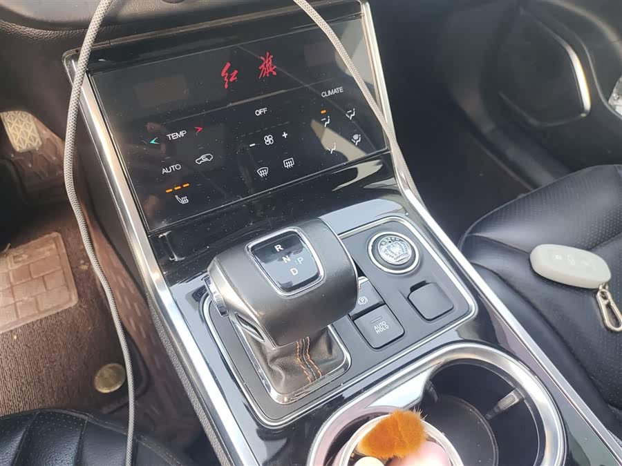 HongQi E-HS3 2020 car image #15