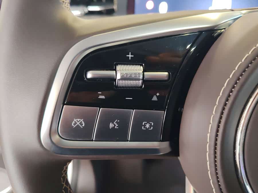 Tank 500 New Energy 2024 immagine di auto #15