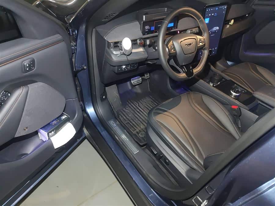 Ford Mustang Mach-E 2022 car image #15