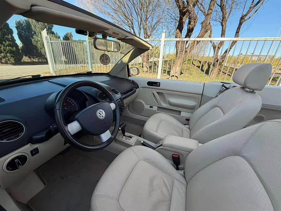 Volkswagen Beetle 2010 immagine di auto #15