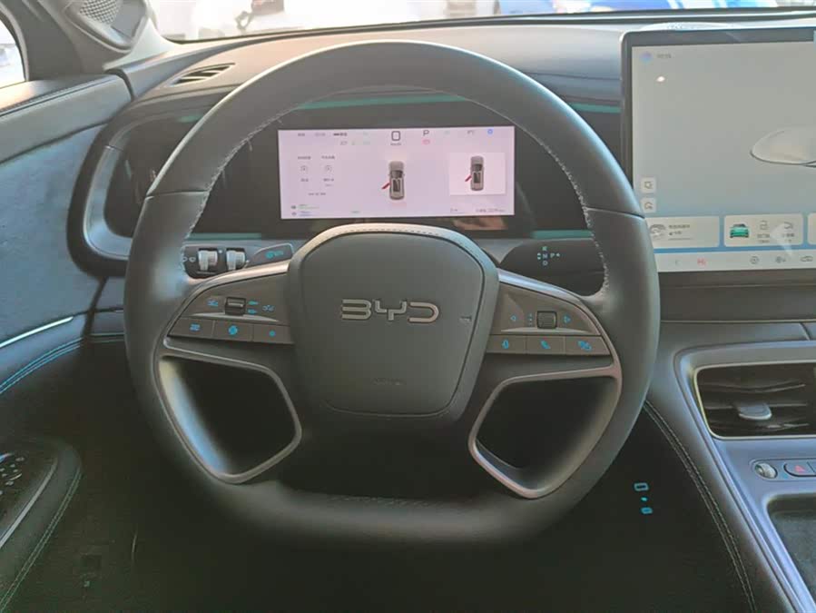 BYD Sea Lion 06 New Energy 2025 car image #15