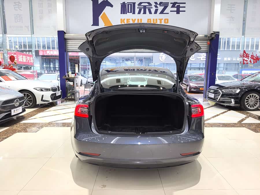 Tesla Model 3 2020 car image #15