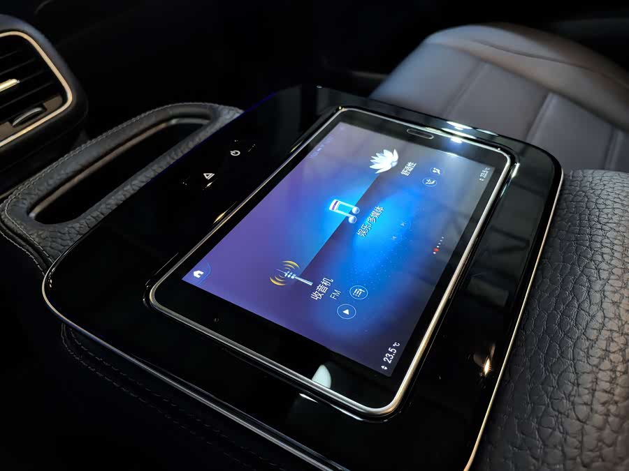 Mercedes-Benz GLS Class 2020 car image #15