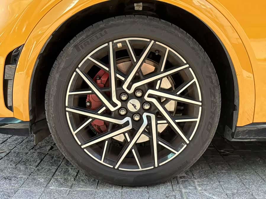 Ford Mustang Mach-E 2024 car image #15