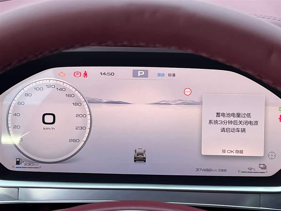 Tank 700 New Energy 2024 #15 Tank 700 New Energy 2024 imagen de coche #15