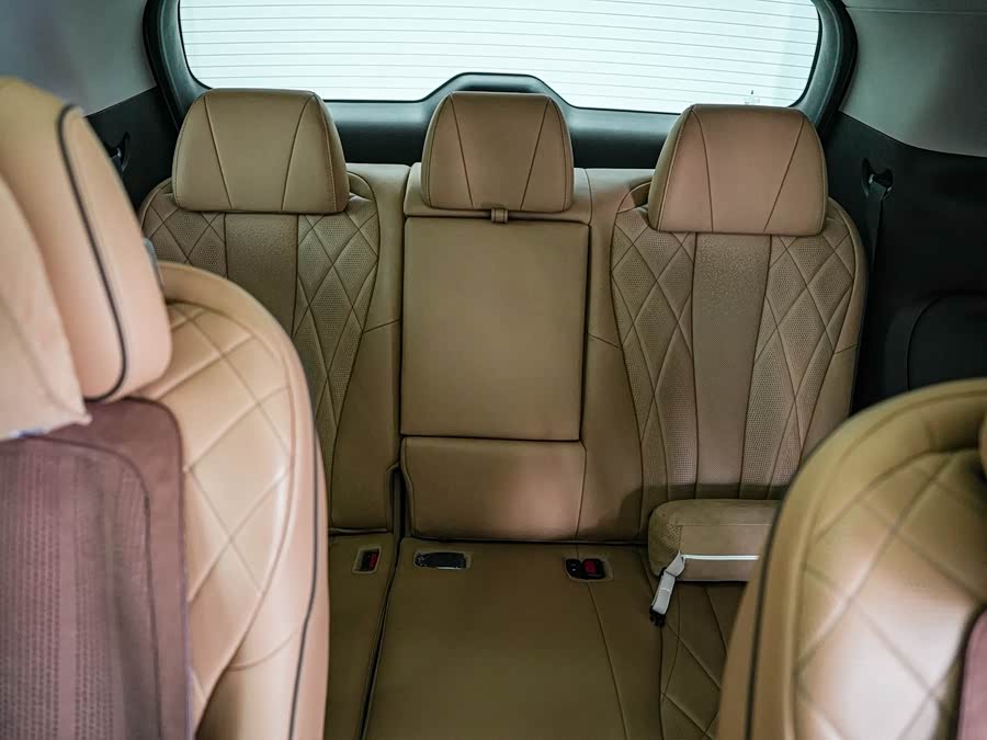 腾势 腾势D9 2024 汽车图片 #15