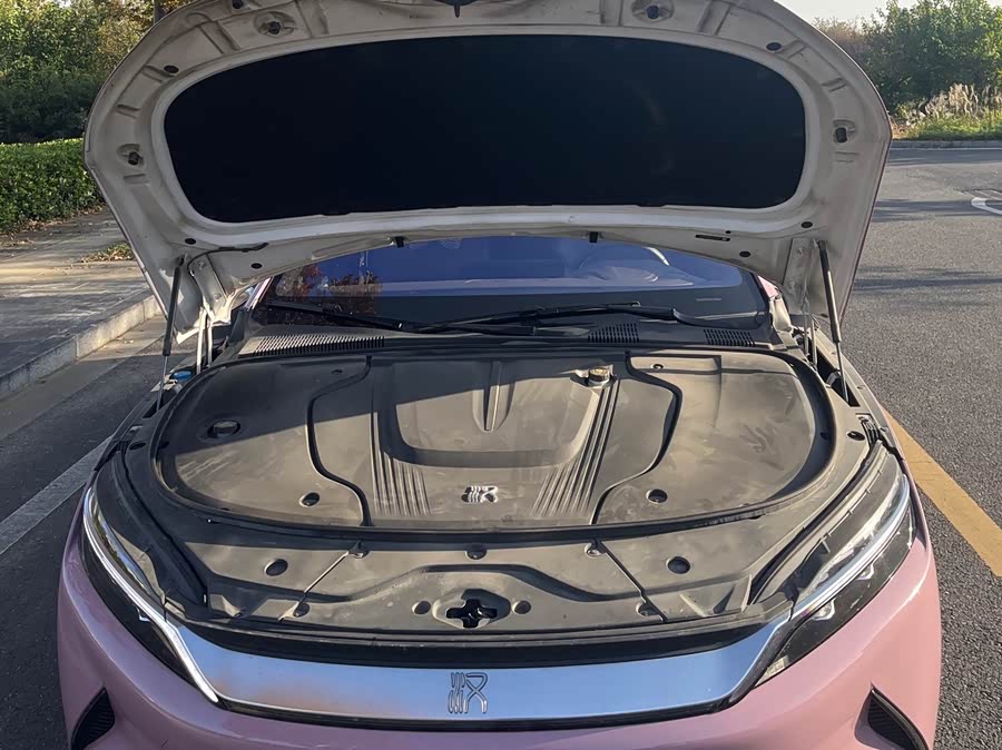 比亚迪 汉 2021 汽车图片 #15