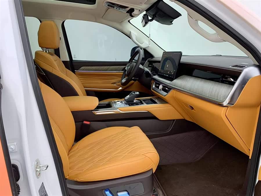 Tank 500 New Energy 2024 immagine di auto #15