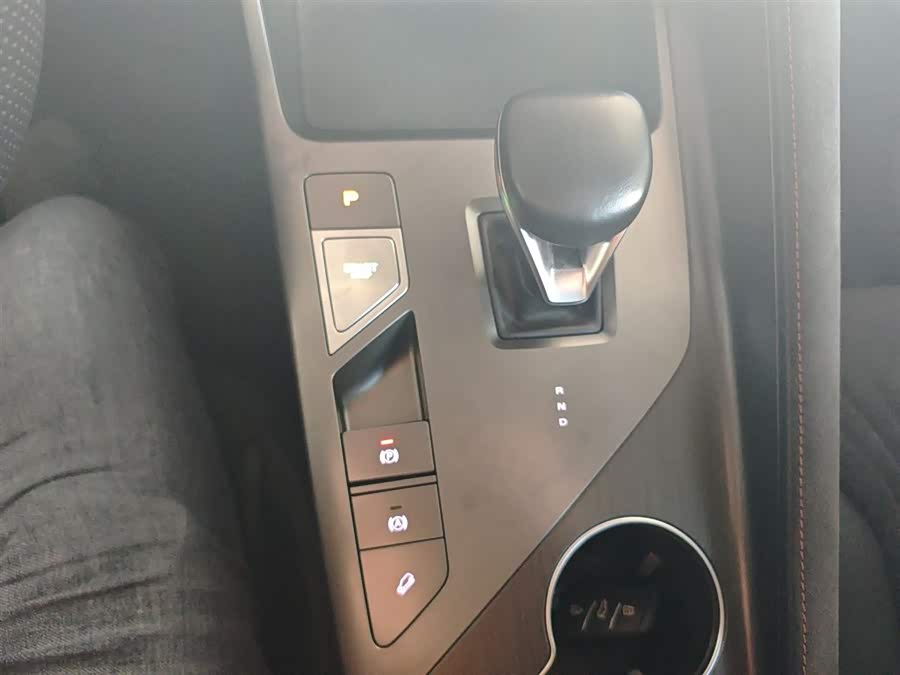 Roewe D5X DMH 2024 car image #15