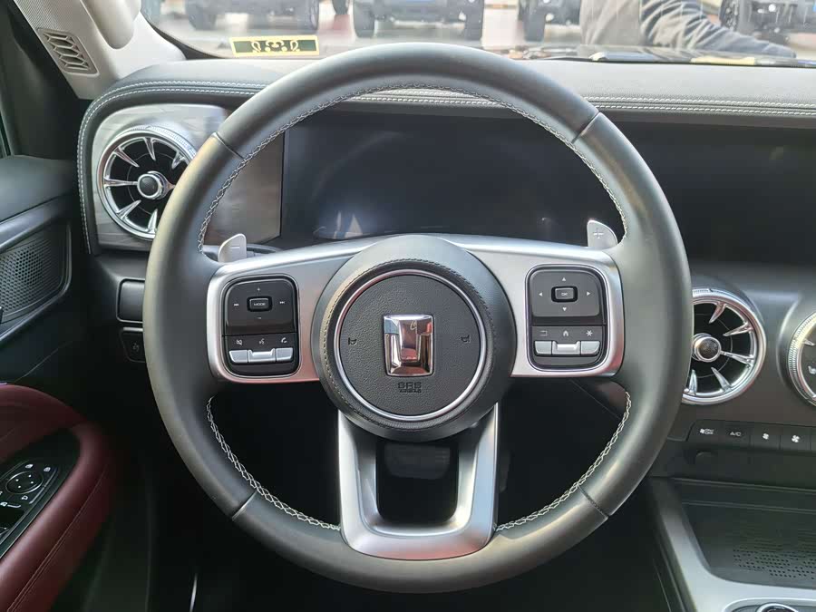 Tank 300 2023 #15 Tank 300 2023 صورة سيارة #15