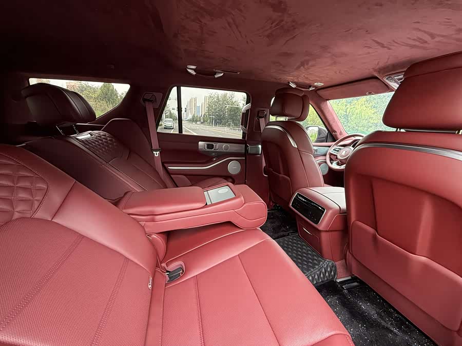 Tank 700 New Energy 2024 car image #15