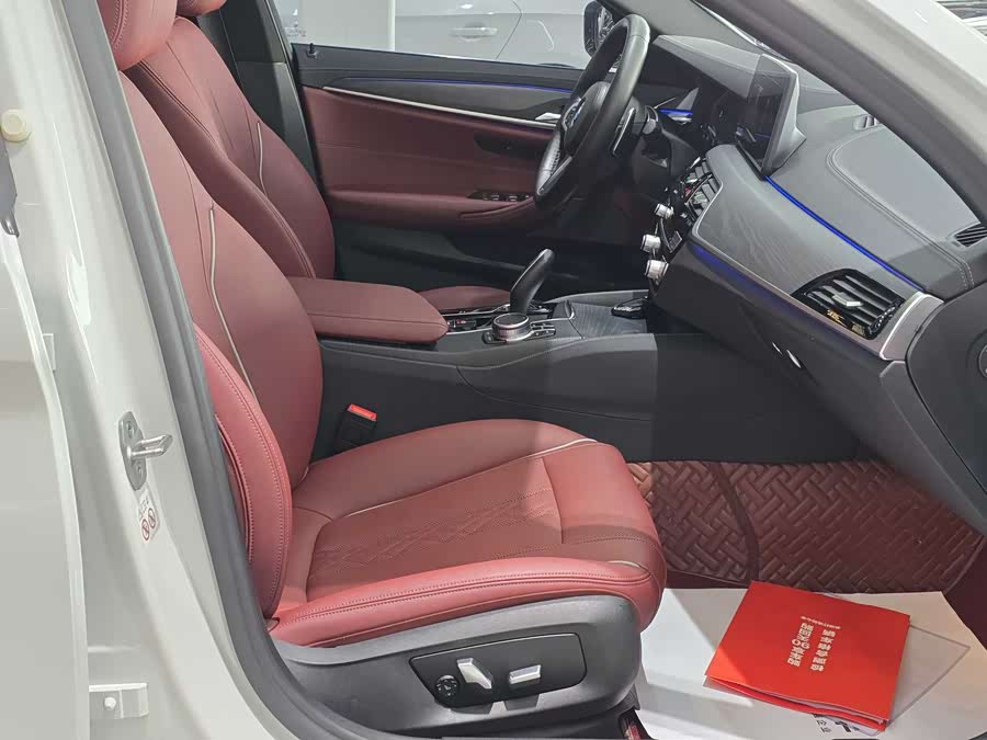 BMW 5 Series 2021 car image #15